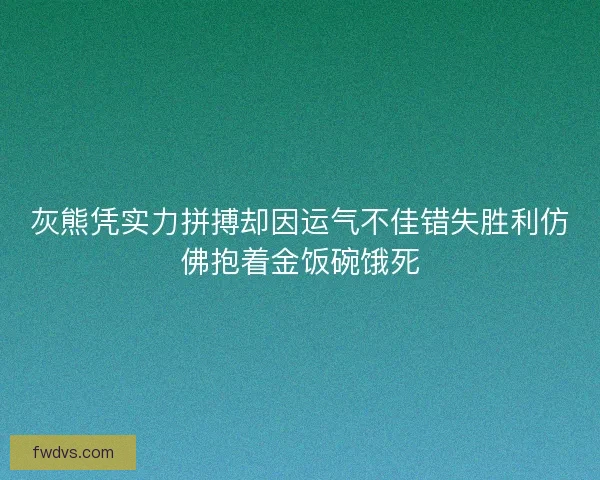 灰熊凭实力拼搏却因运气不佳错失胜利仿佛抱着金饭碗饿死